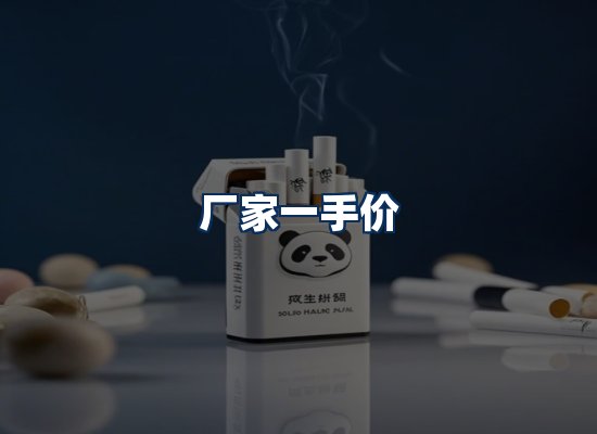 专业团队办公环境